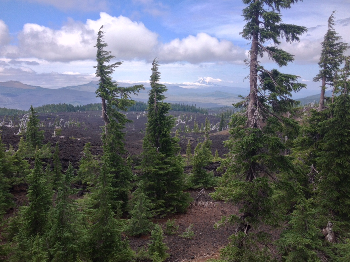 Three Sisters Wilderness