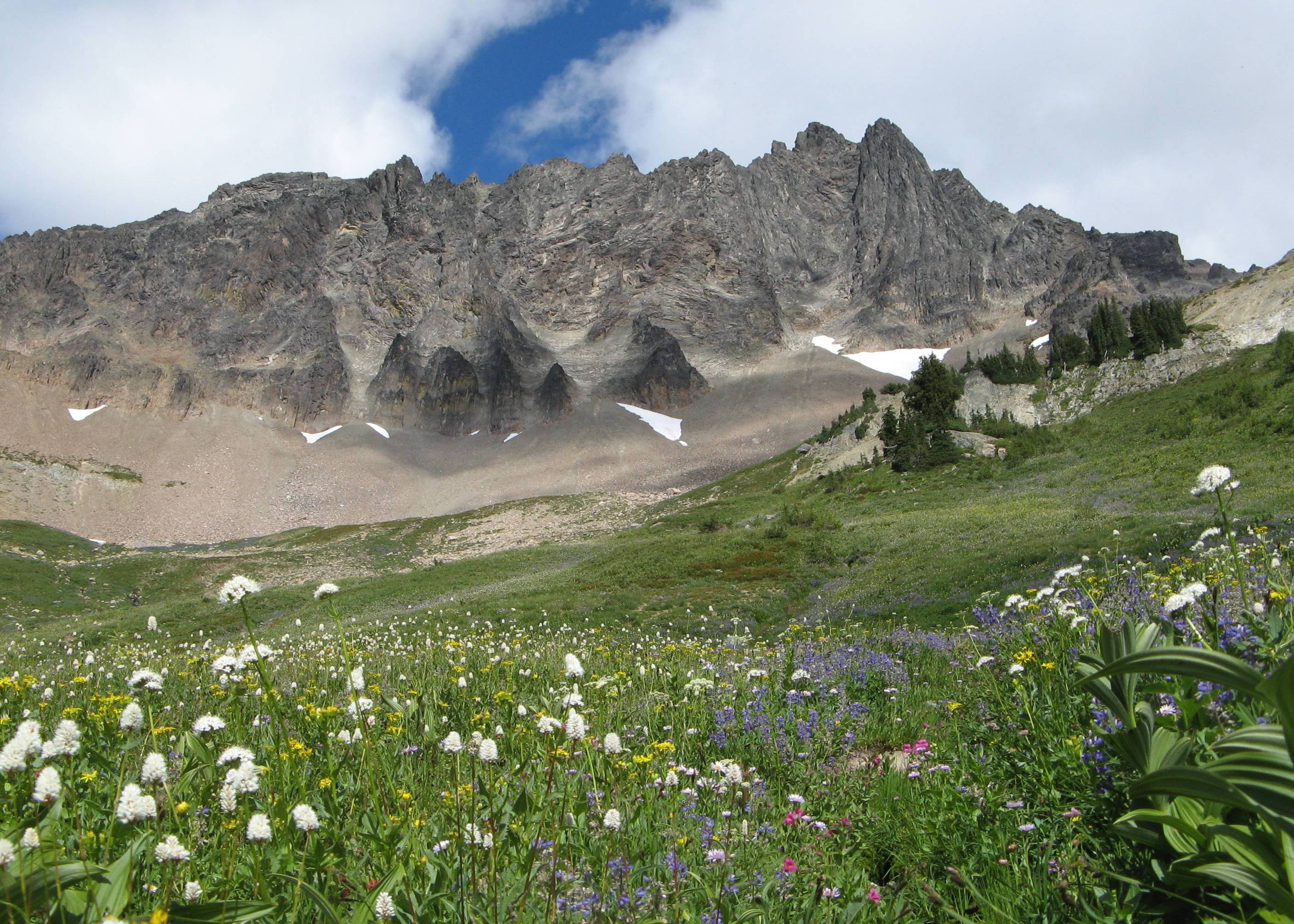 Upper Cispus Basin.