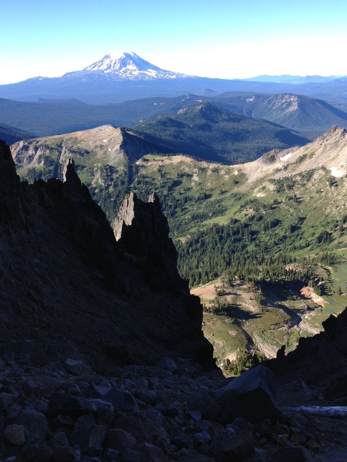 Gully above Cispus Basin.