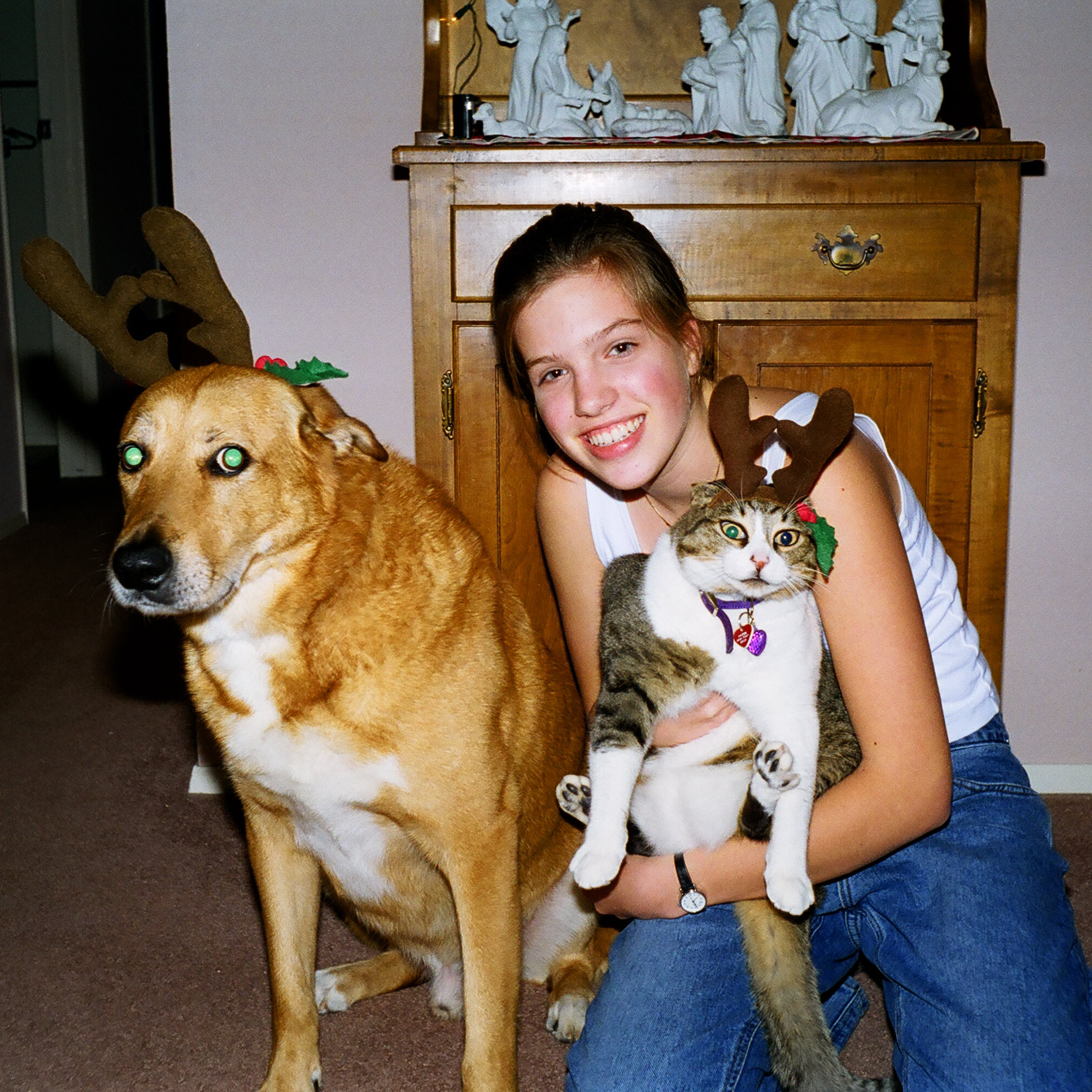 Buddy and Patch dressed up for Christmas.