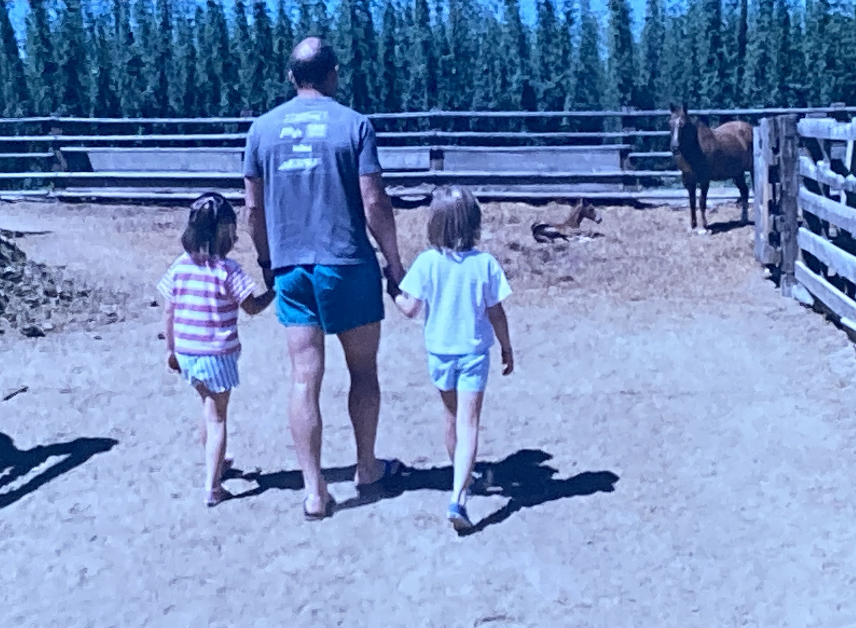 Foal at Desserault Ranch near Moxee.