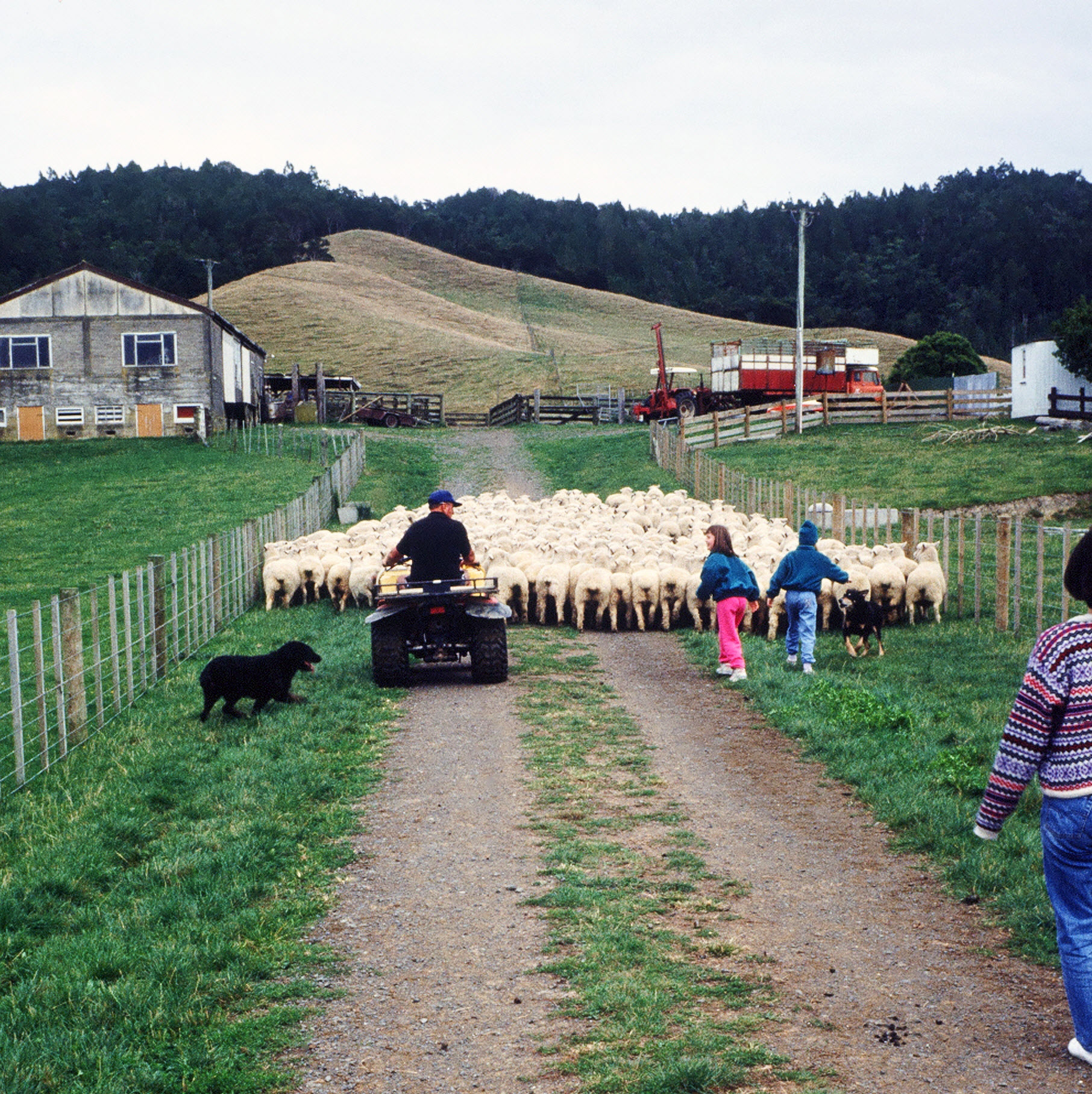 Farm stay in New Zealand.