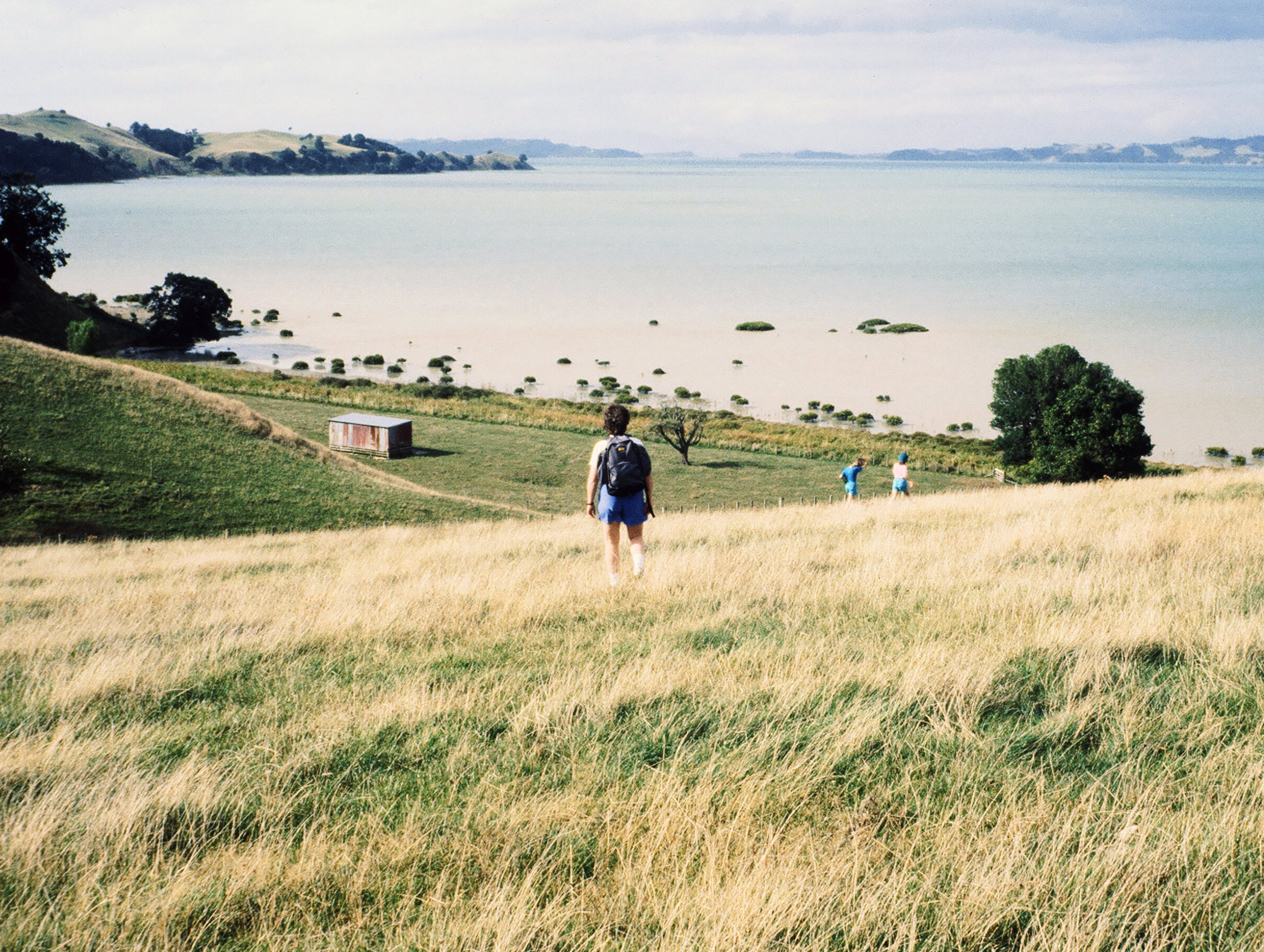 Farm stay in New Zealand.