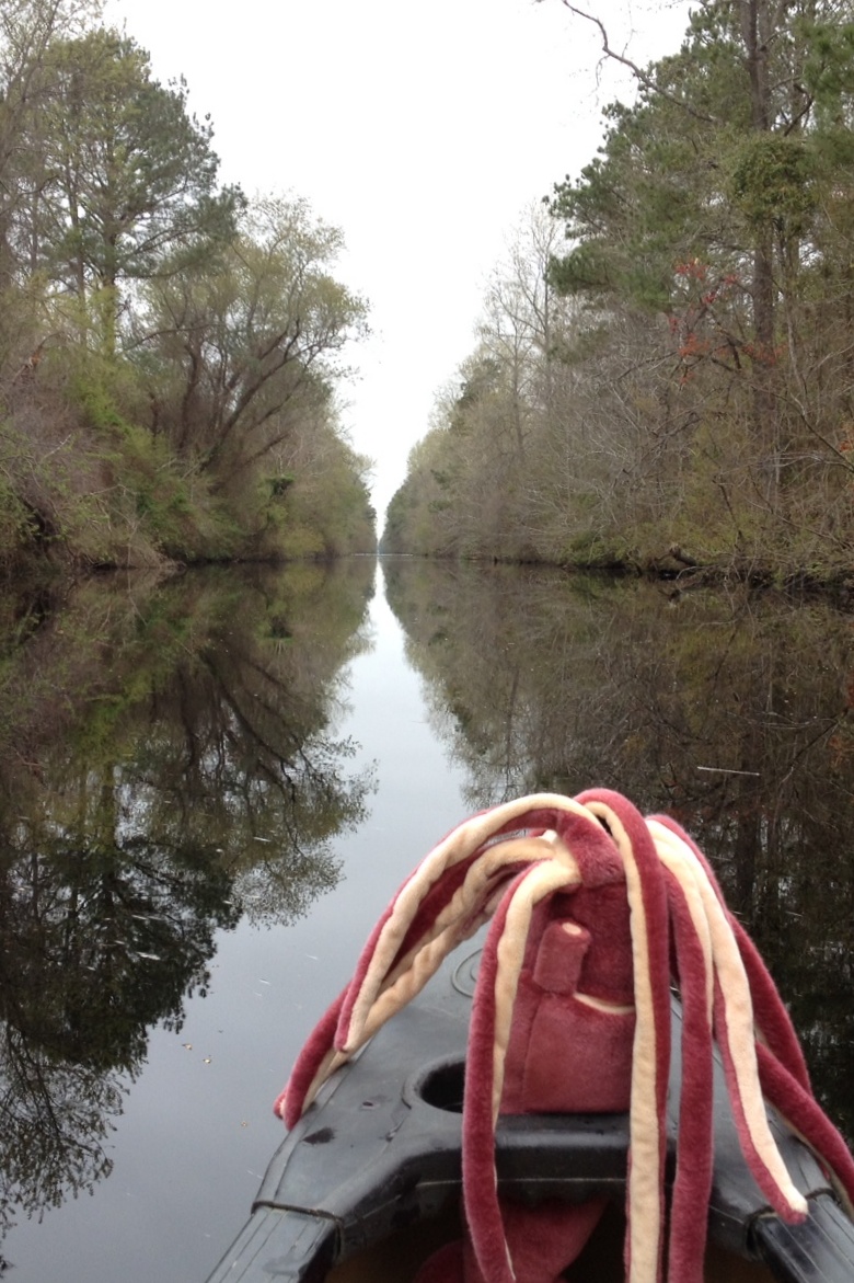 At the Dismal Swamp Visitor Center.