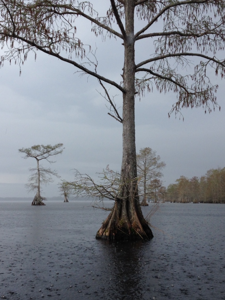 Lake Drummond.