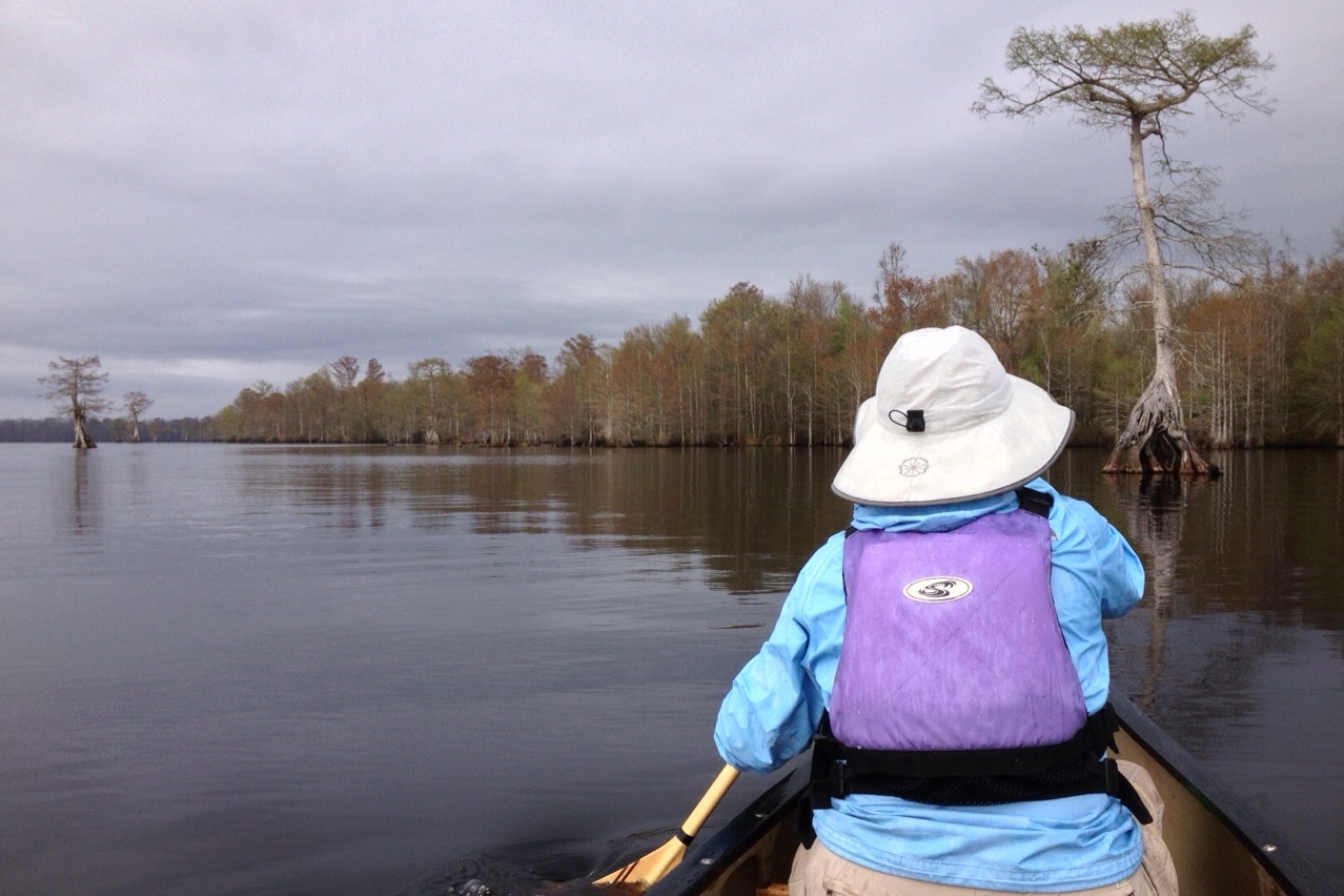 Lake Drummond.