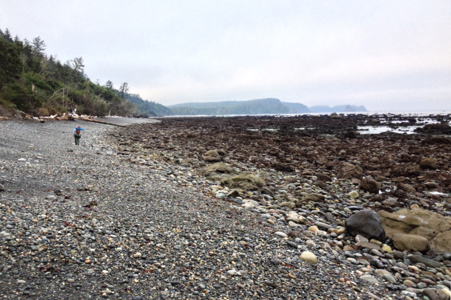 The beach leading to Seafield Creek.