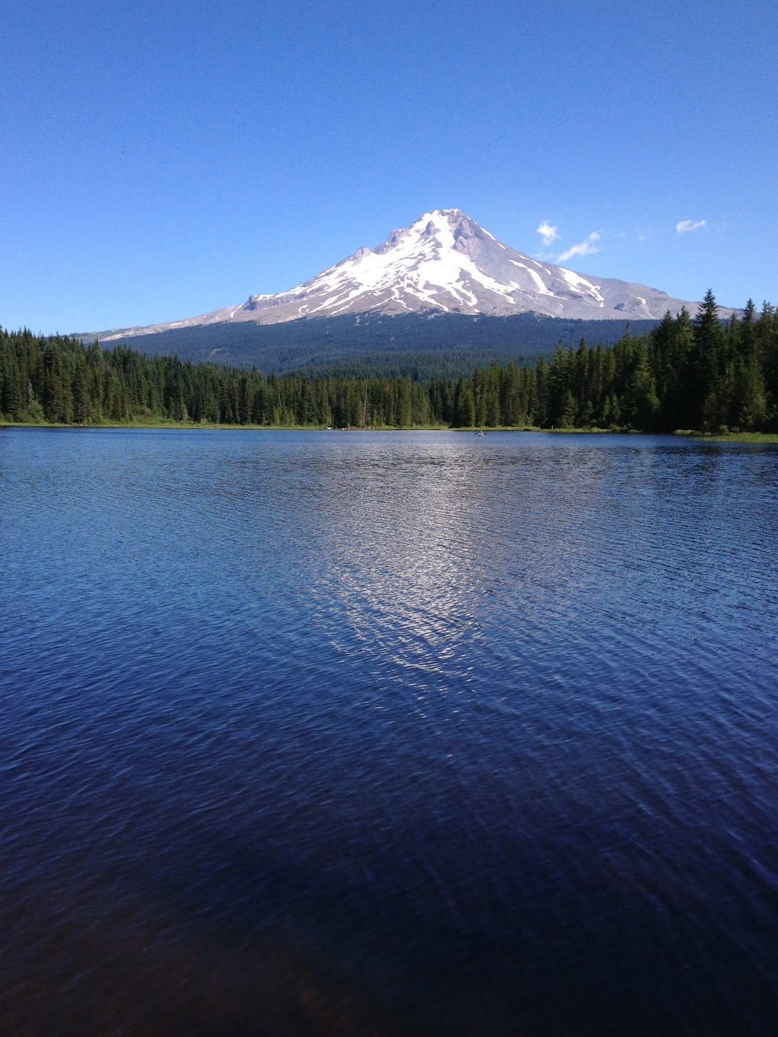 Mt. Hood from Trillium Lake.