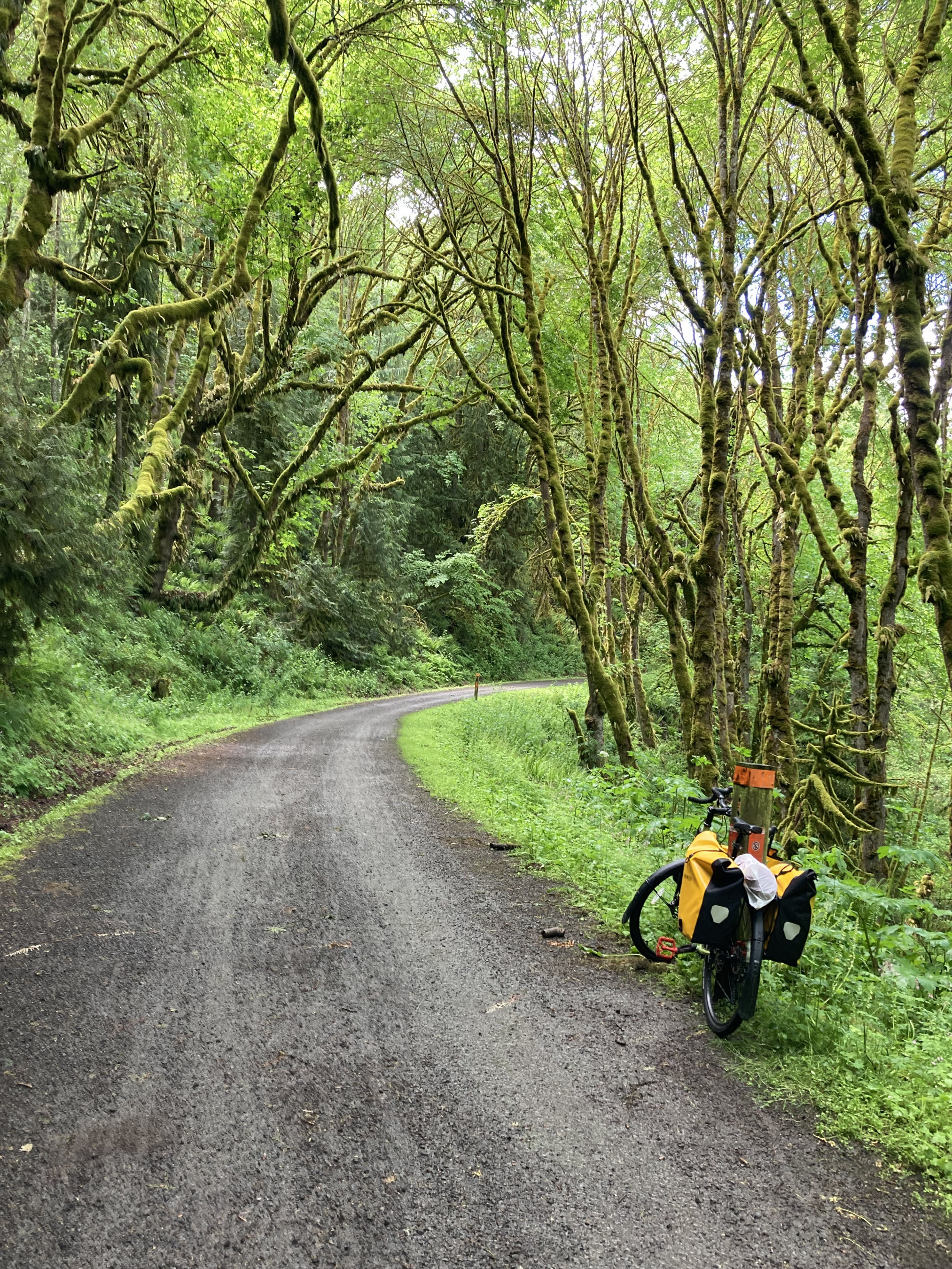 Snoqualmie River Trail.