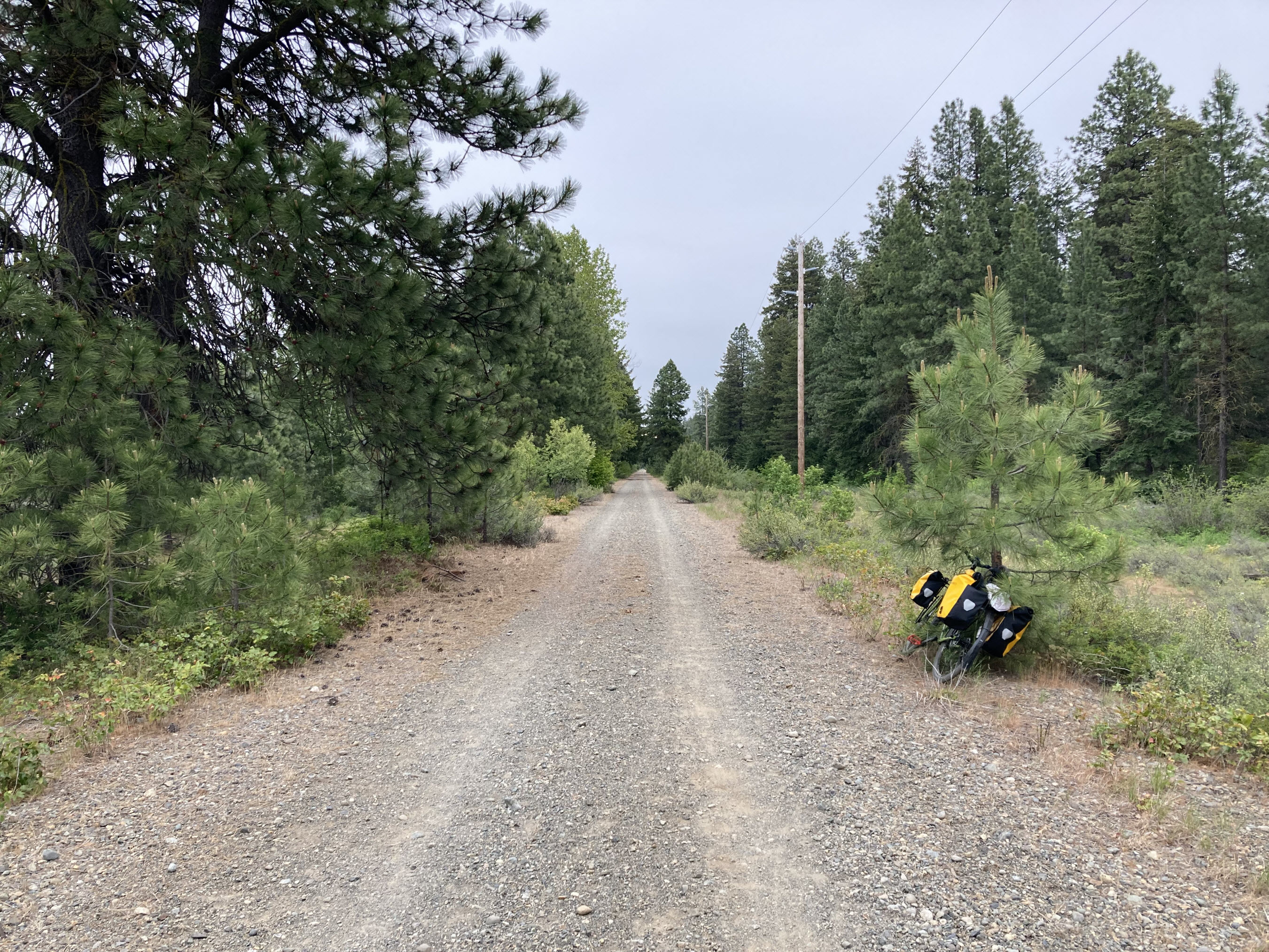 P2C Trail near Lake Easton.