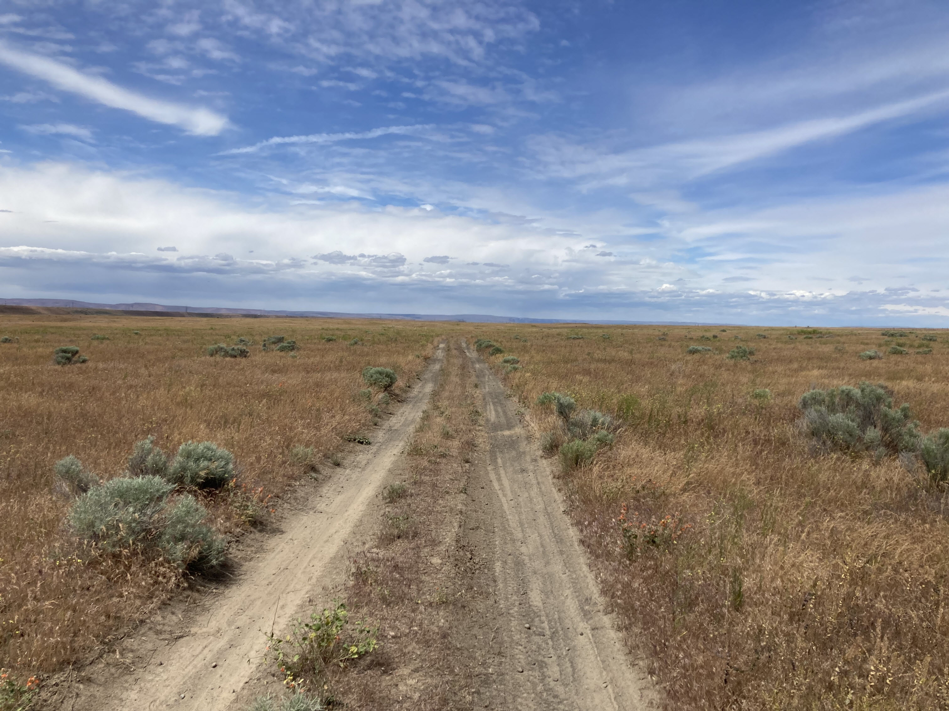 Grasslands north of Moses Lake.