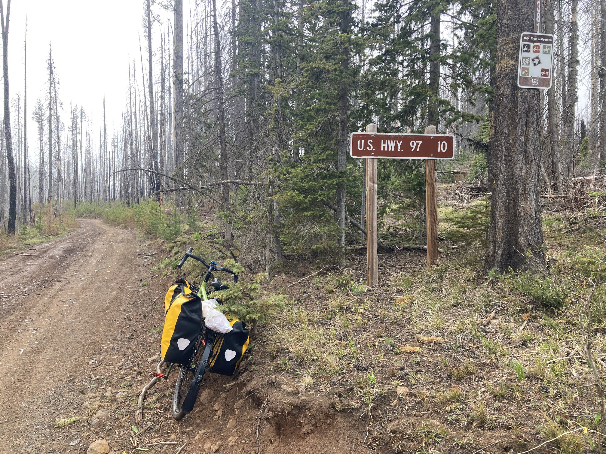 Road 9712 at Ken Wilcox Horse Camp.