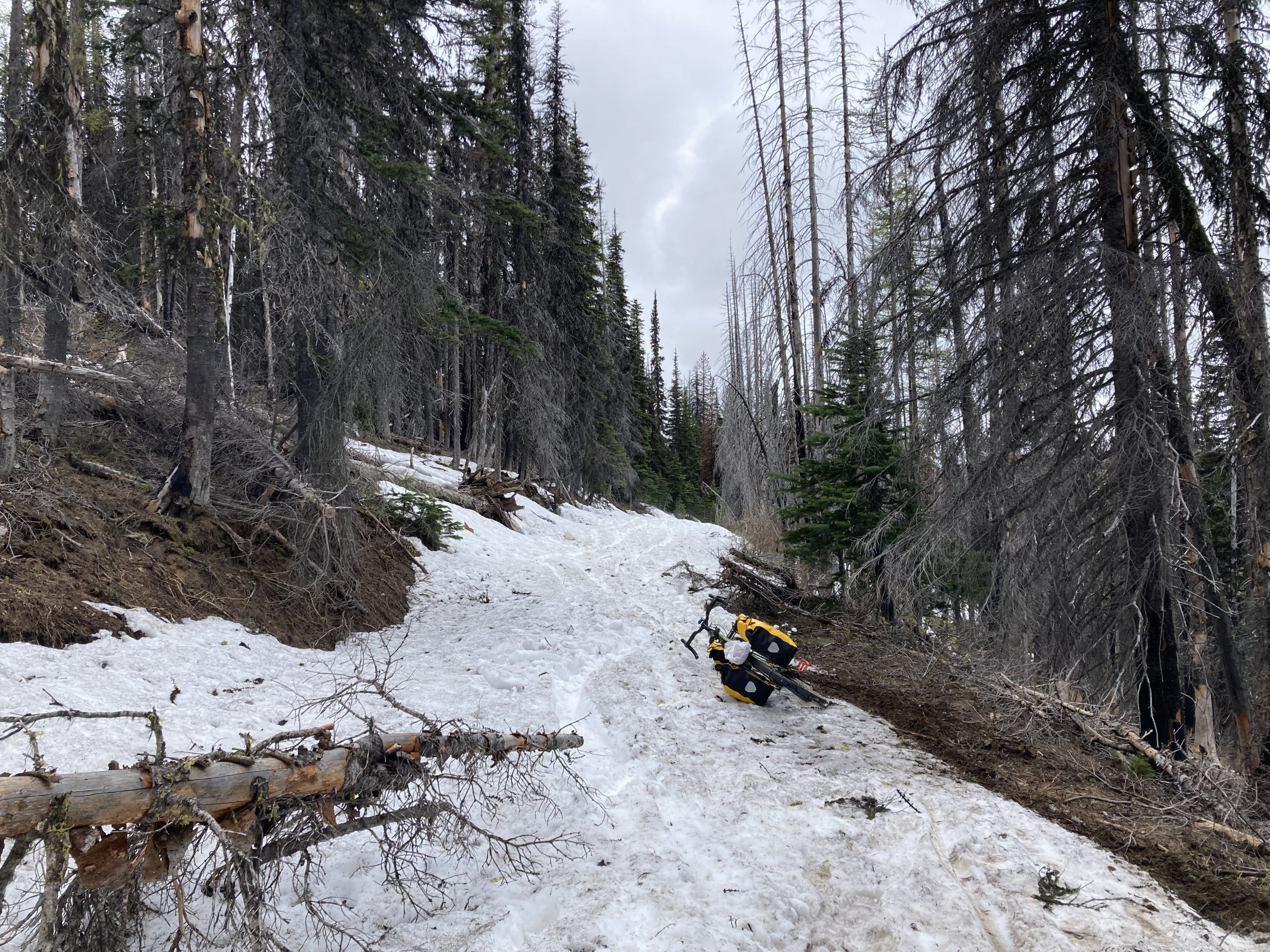 Snow covering Road 9712.