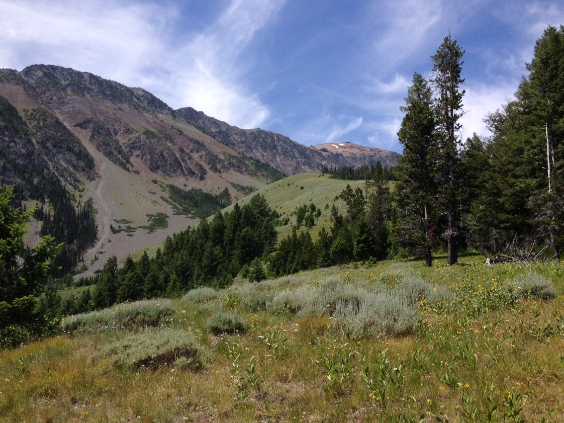 Chief Joseph Mountain