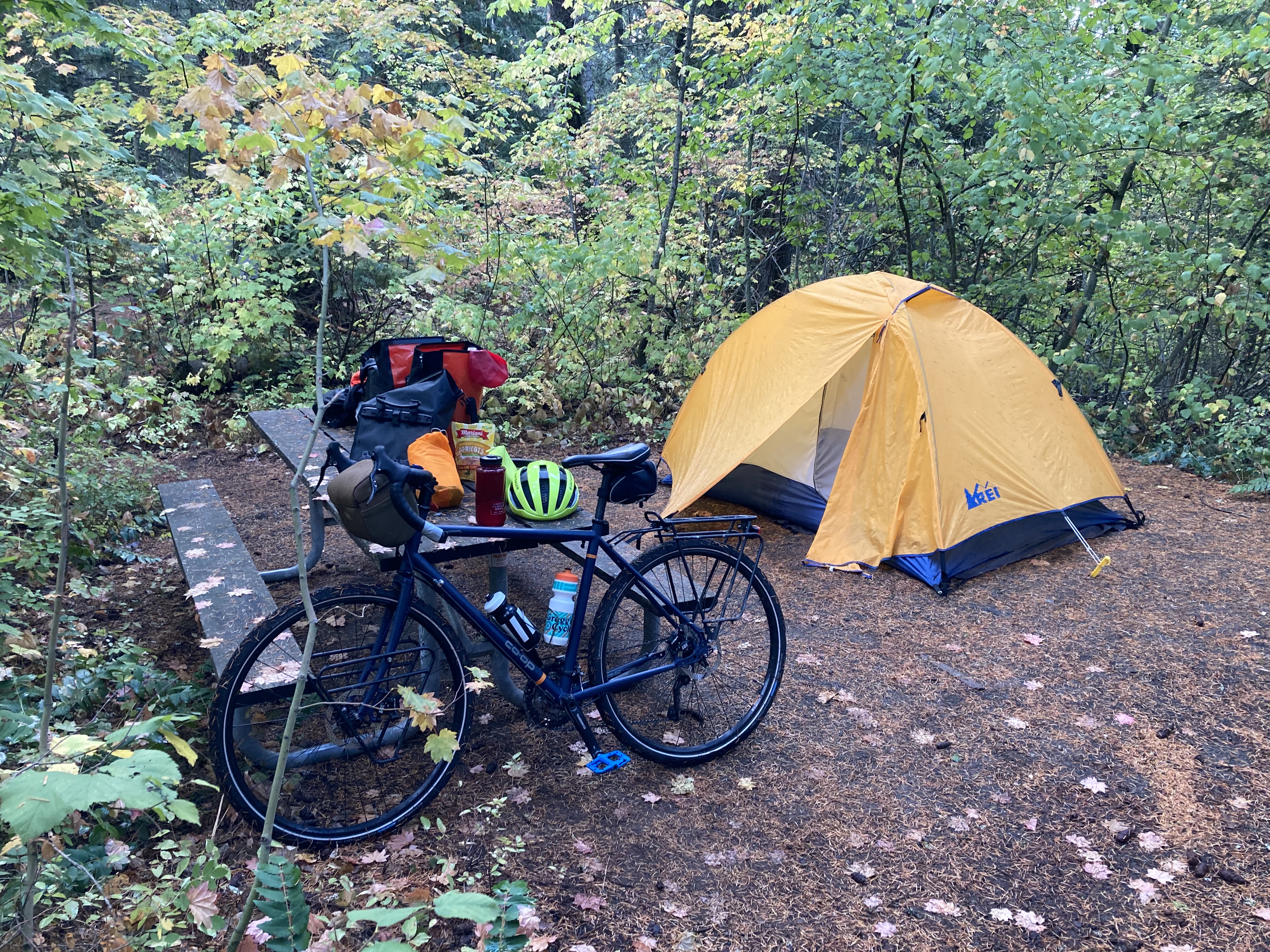 Campsite at Lake Easton.