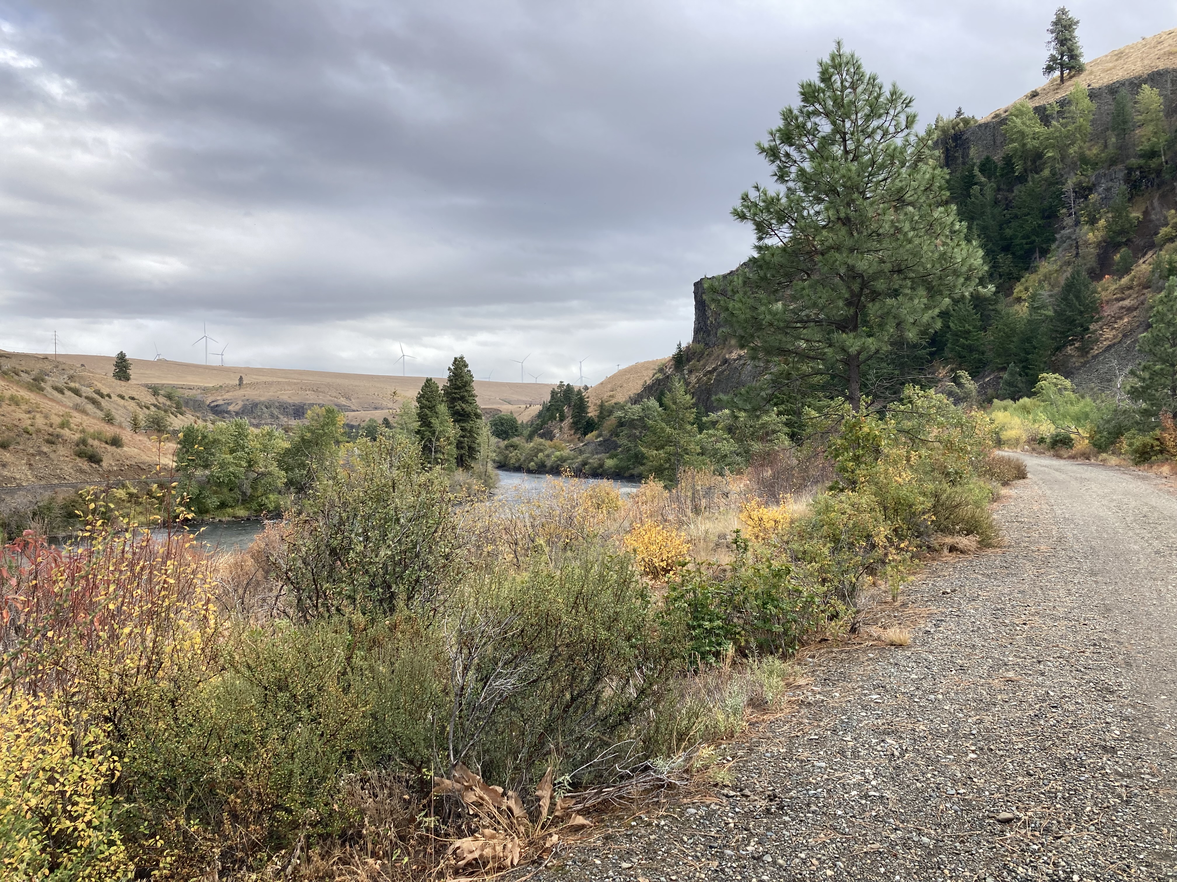 Along the Yakima River.