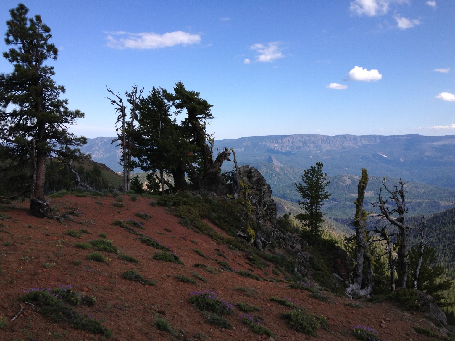 The Perfect Camping Spot below Shellrock Peak.