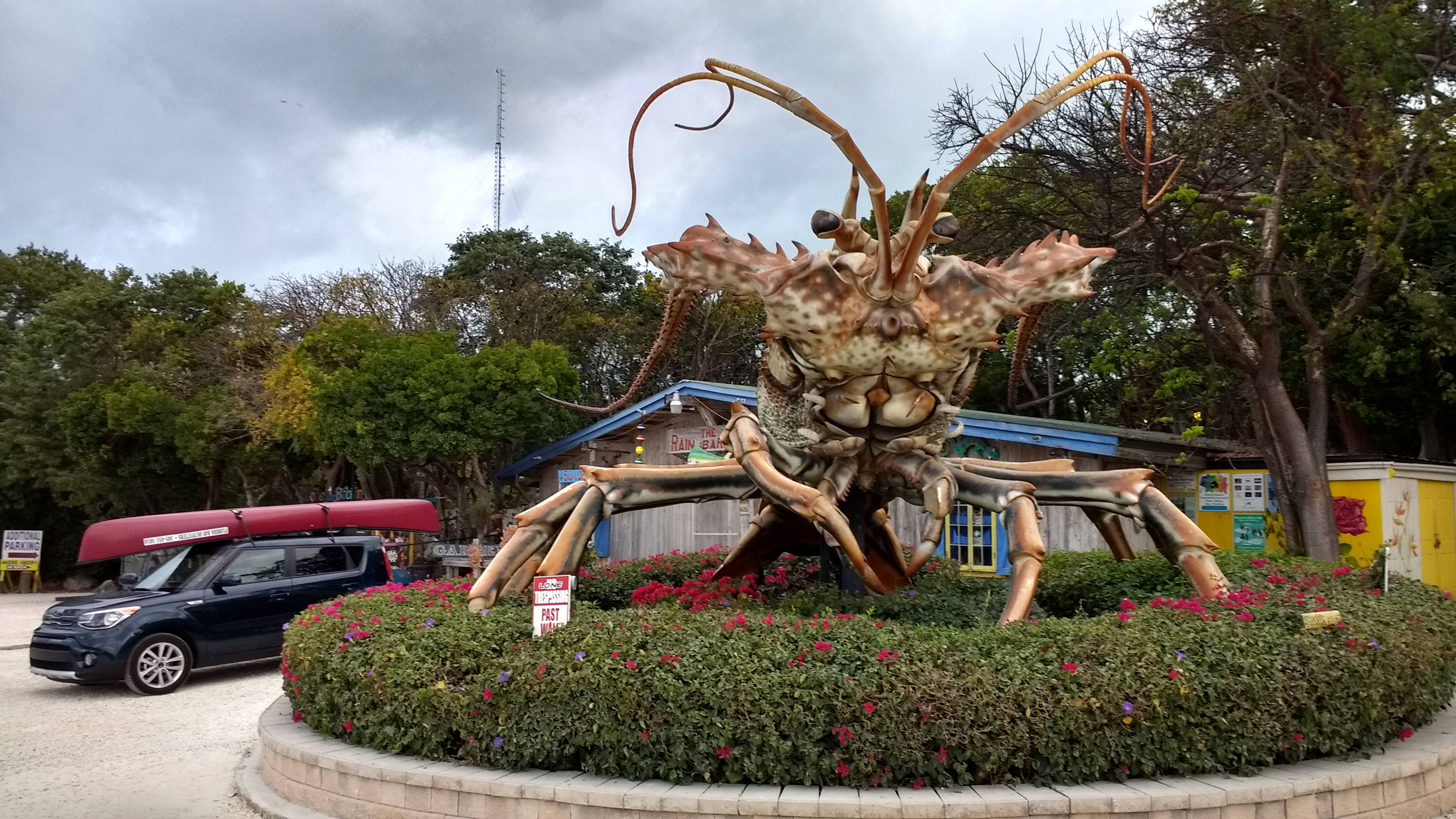 Lobster close-up.