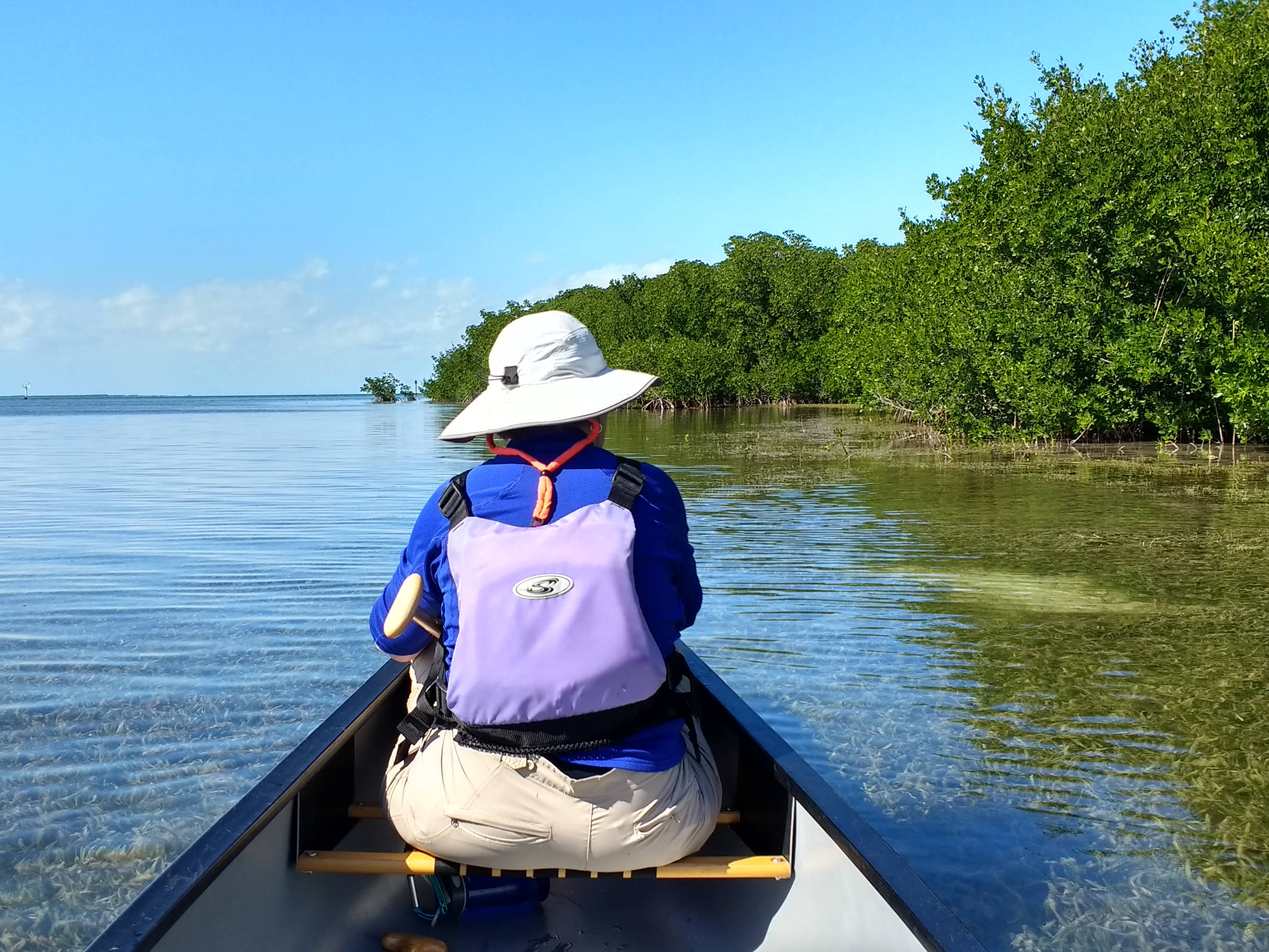 Paddle at Tavernier.