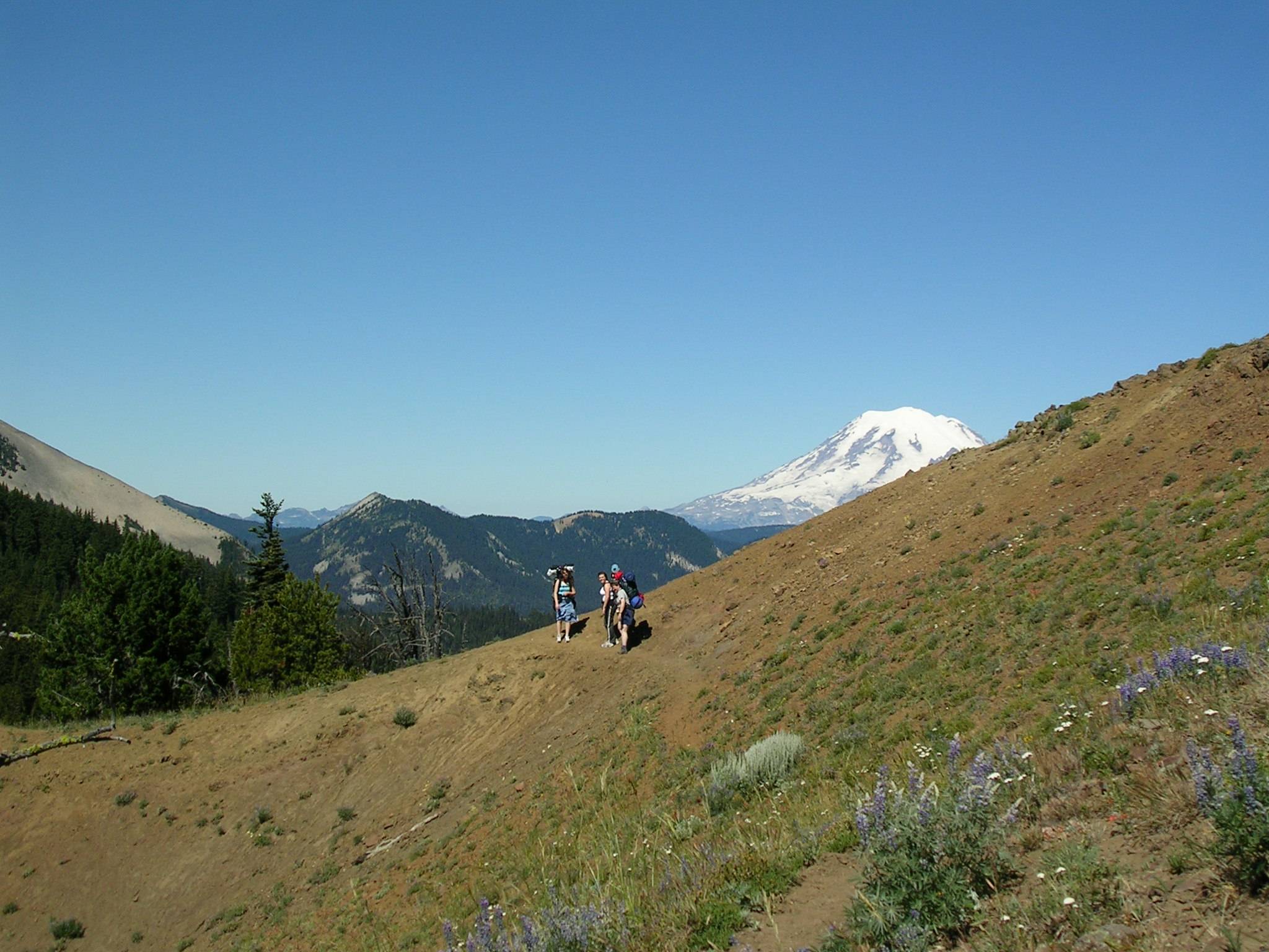 On Bethel Ridge, looking northwest toward Mt. Rainier.