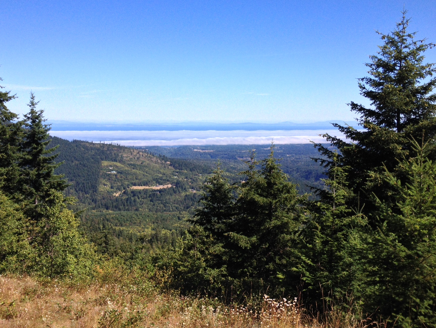 Looking north toward Port Angeles and the Strait of Juan de Fuca