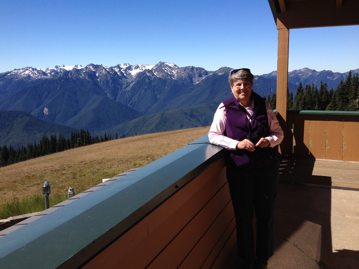 Looking south from the Hurricane Ridge Visitor Center